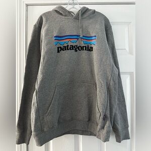 Patagonia Gray Hoodie with Blue Accents